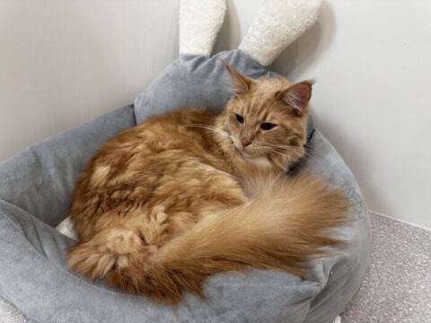 リフレッシュ🥰